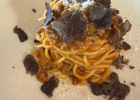 Terroni