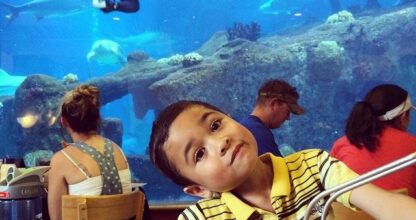 Shark Reef Cafe
