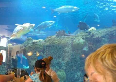 Shark Reef Cafe