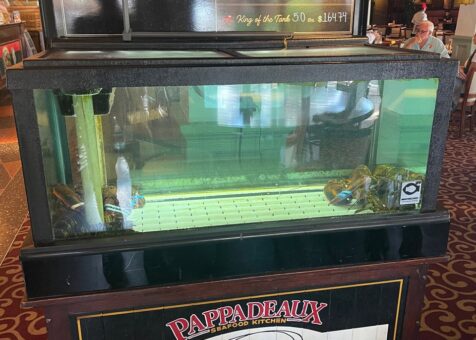 Pappasito's Cantina