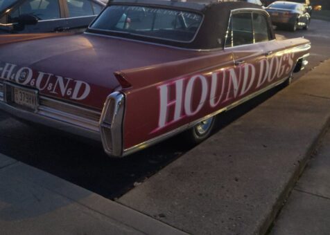 Hounddog's Three Degree Pizza