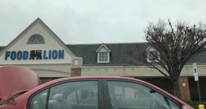 Food Lion