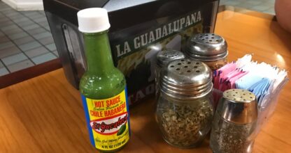 La Guadalupana