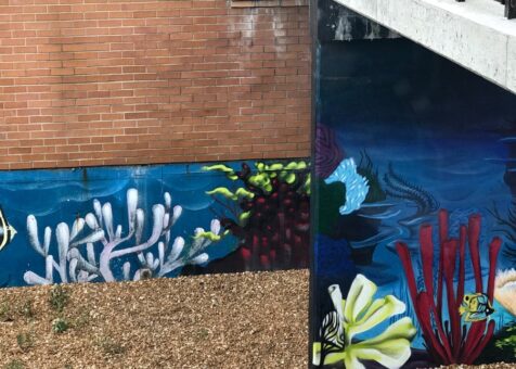 Lawrence's Fish & Shrimp