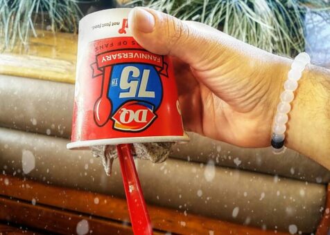 Dairy Queen