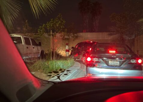 In-N-Out Burger