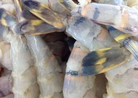 Yellowfish Sushi