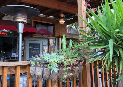 Guillermo's