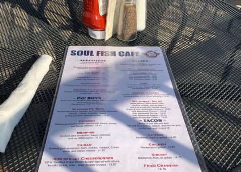 Soul Fish