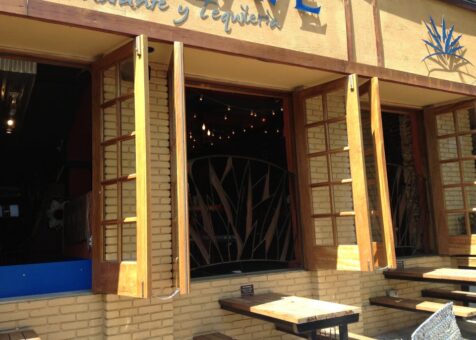 Blue Agave