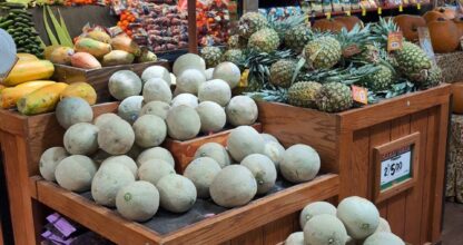 Vista Quality Food Market