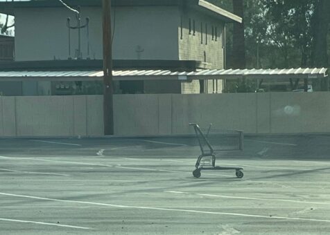 Fry's Food Store