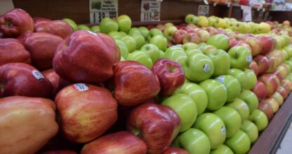 Food Bowl Market