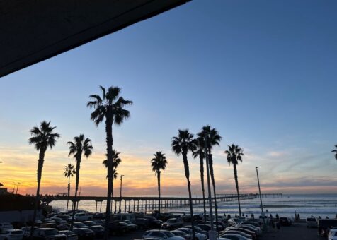 South Beach Bar & Grille