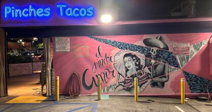 Pinches Tacos