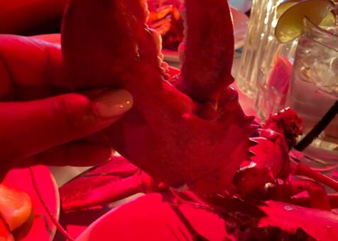 Lefty's Lobster and Chowder House