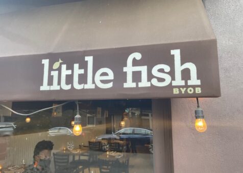 Little Fish