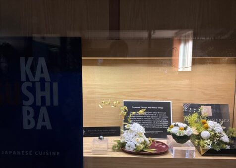 Sushi Kashiba