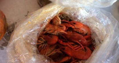 Crabby Cafe