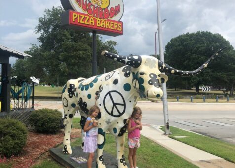 Mellow Mushroom