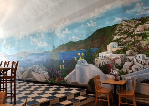Demo's Greek Food - Vinyard