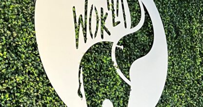 Masala Wok