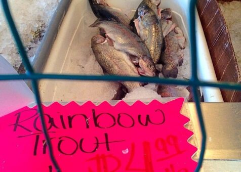 Market Fisheries