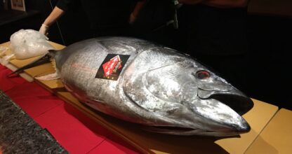Naked Fish's Sushi & Grill