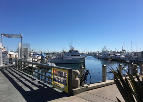 Point Loma Seafoods