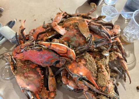 L.P. Steamers