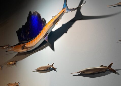 The Blue Fish