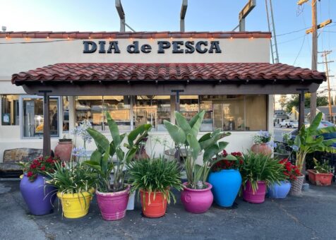 Dia De Pesca Si Food