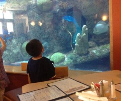 Shark Reef Cafe