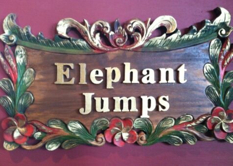 Elephant Jumps Thai Restaurant